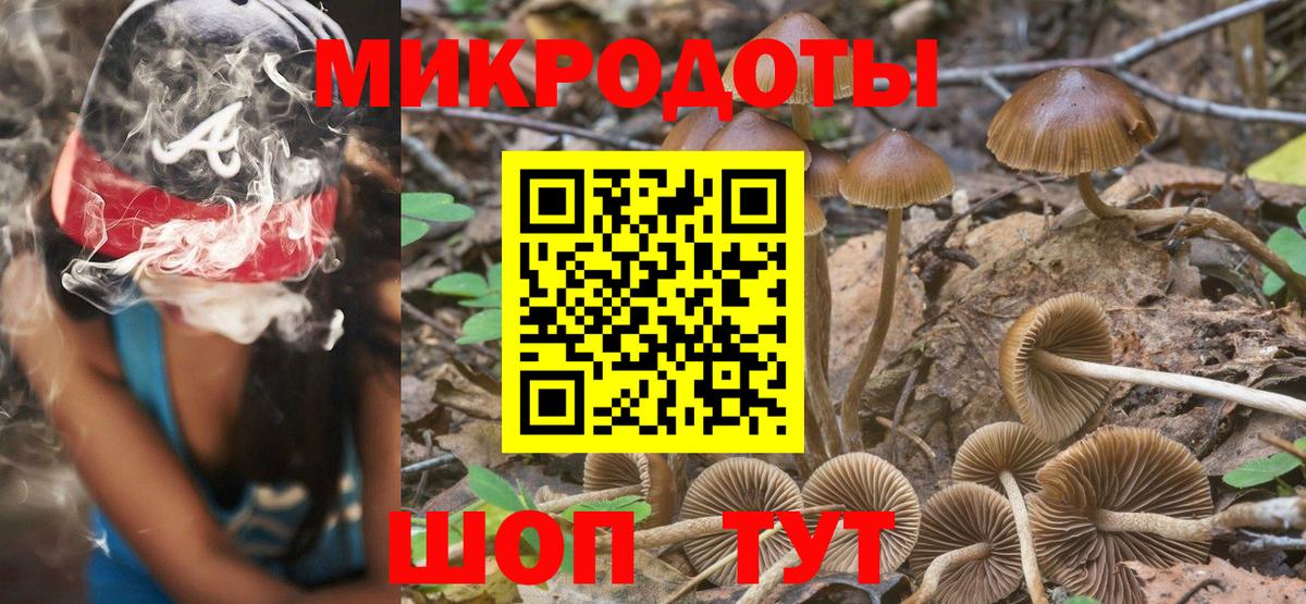 Галлюциногенные грибы Psilocybe Шуя