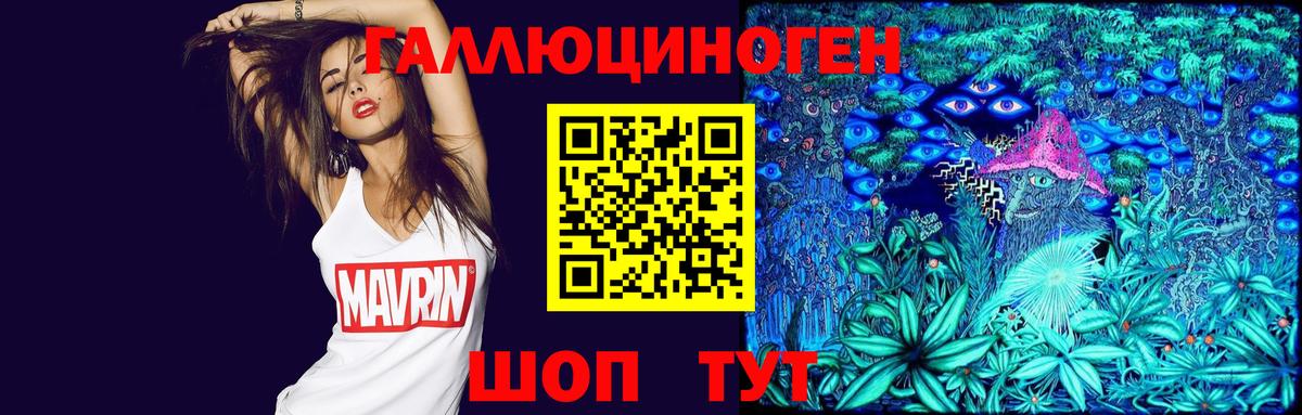 Шуя  Псилоцибиновые грибы ЛСД  наркота  Вход с VPN 